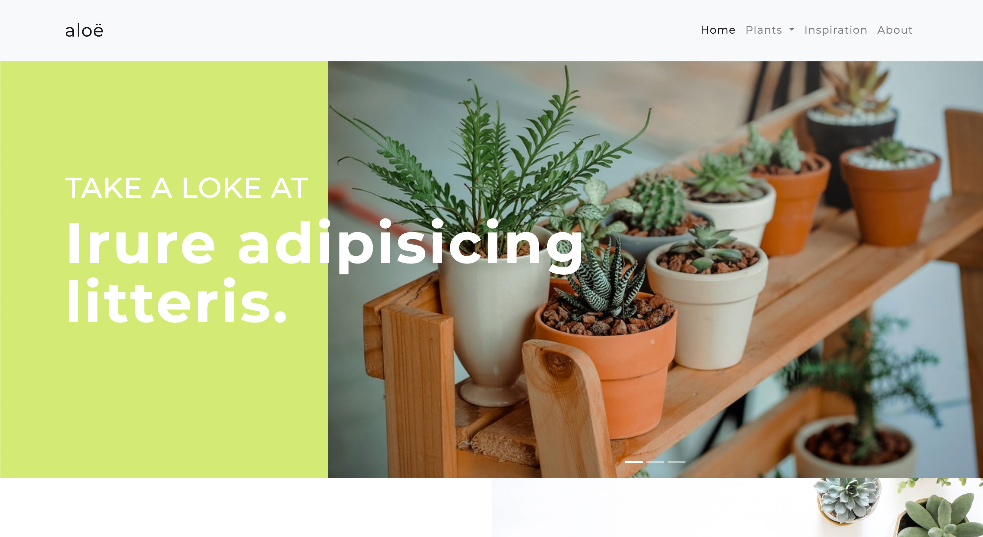 Landing Page